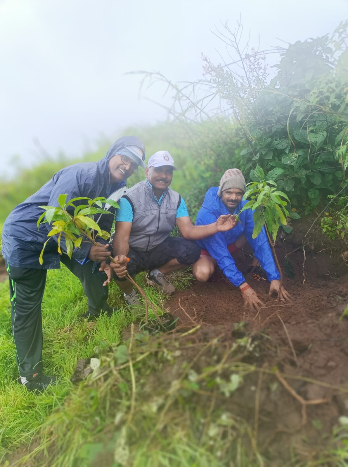 Night Sky with Milky Way